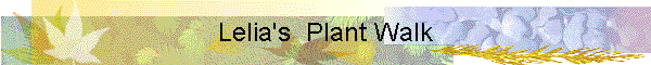 Lelia's  Plant Walk