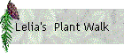 Lelia's  Plant Walk