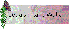 Lelia's  Plant Walk
