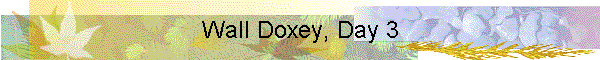Wall Doxey, Day 3