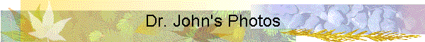 Dr. John's Photos