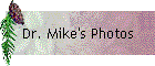Dr. Mike's Photos