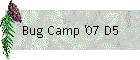 Bug Camp '07 D5