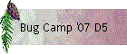 Bug Camp '07 D5