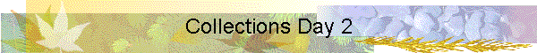 Collections Day 2