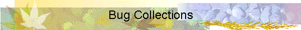 Bug Collections