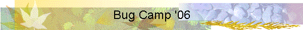 Bug Camp '06
