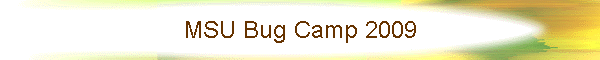 MSU Bug Camp 2009